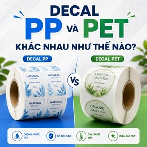 Decal PP Và Decal PET Khác Nhau Như Thế Nào?