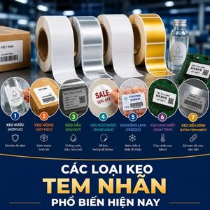 Các Loại Keo Tem Nhãn Phổ Biến Hiện Nay